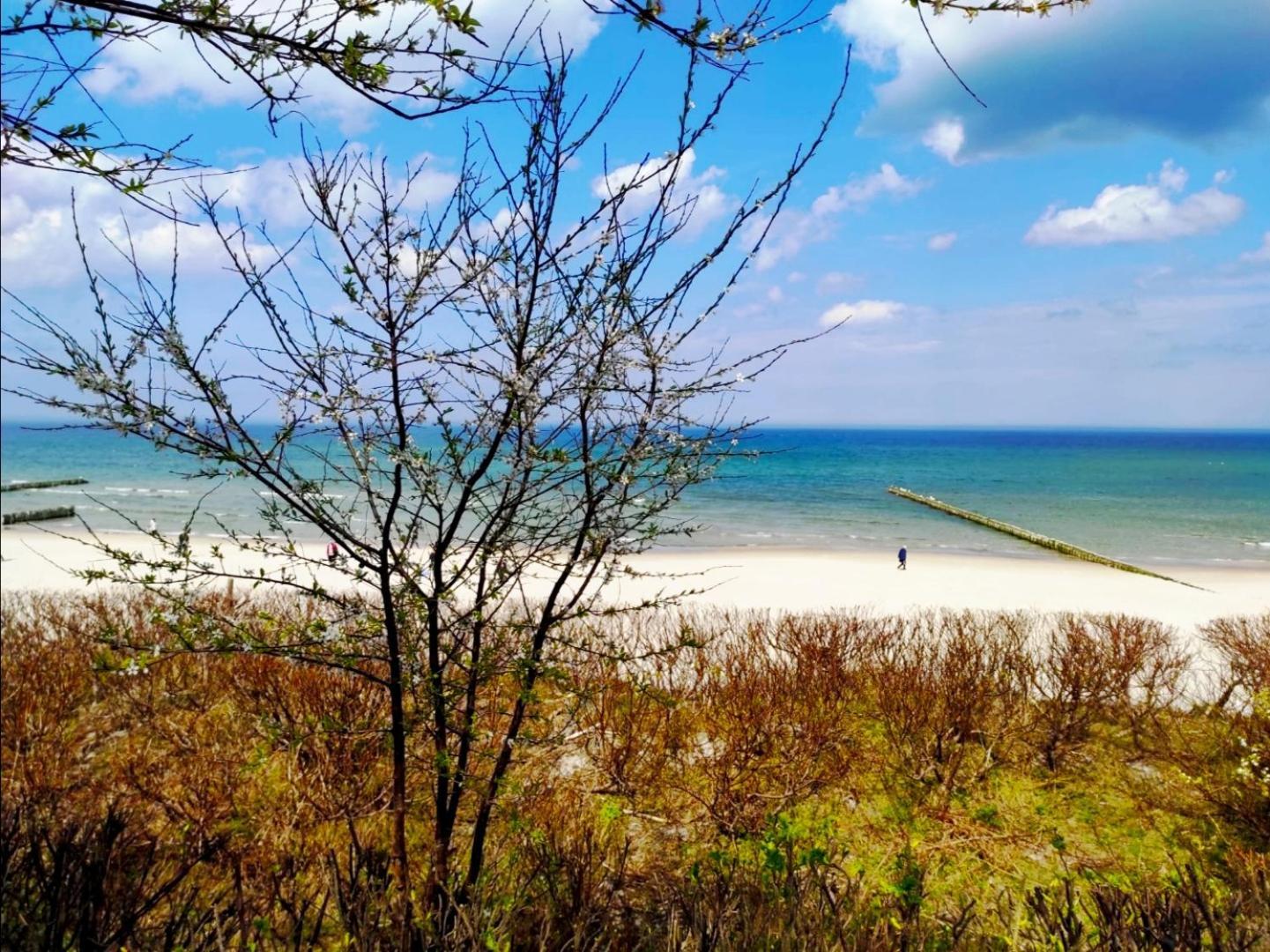 Baltic Apartment Ustka