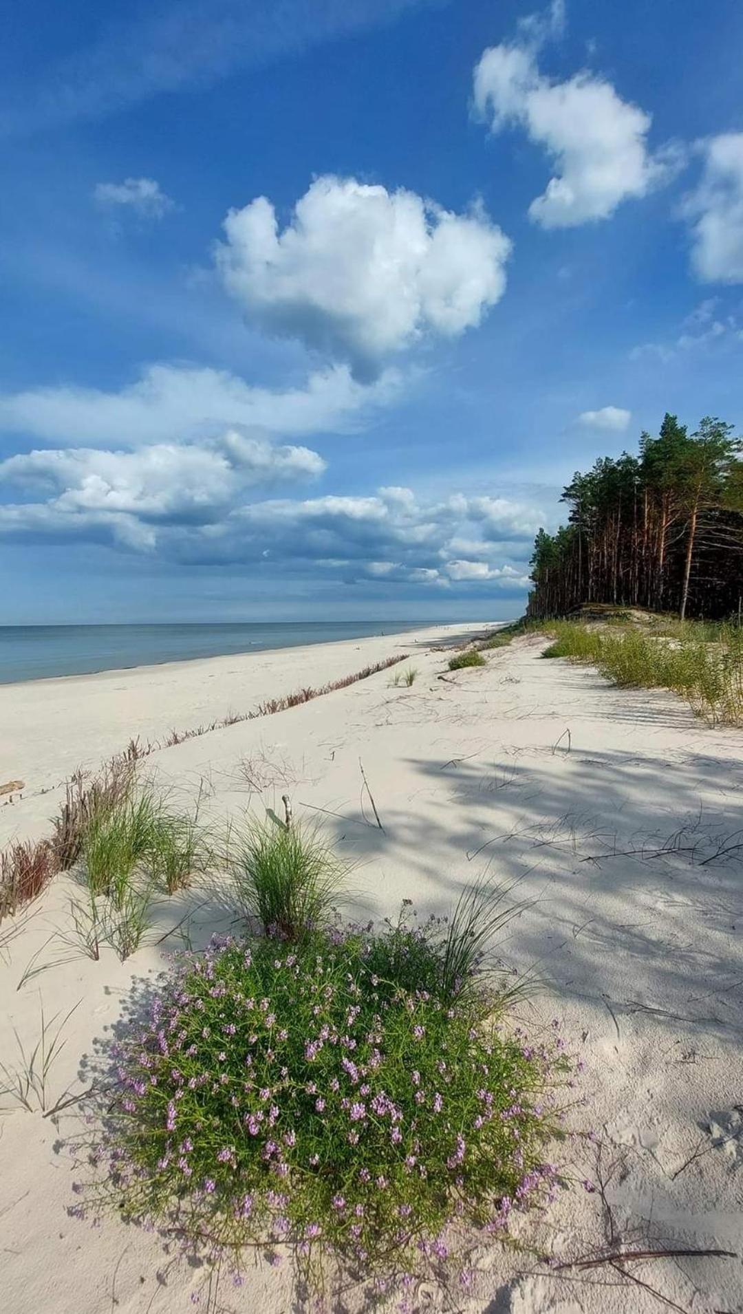 Baltic Apartment Ustka