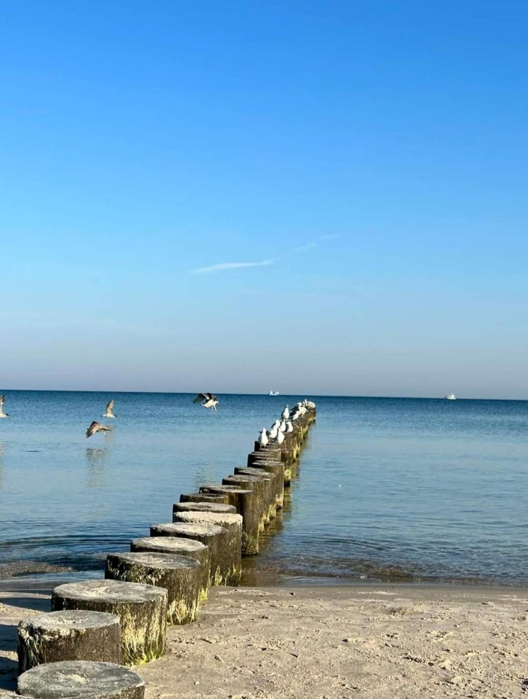 Baltic Leilighet